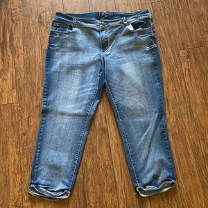 Cato Premium Contemporary Women's Jeans Size 14 Straight Leg Blue Denim Stretch